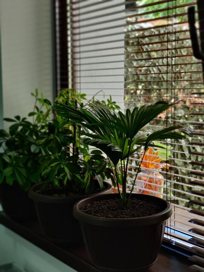 City Garden Apartments 부쿠레슈티 외부 사진