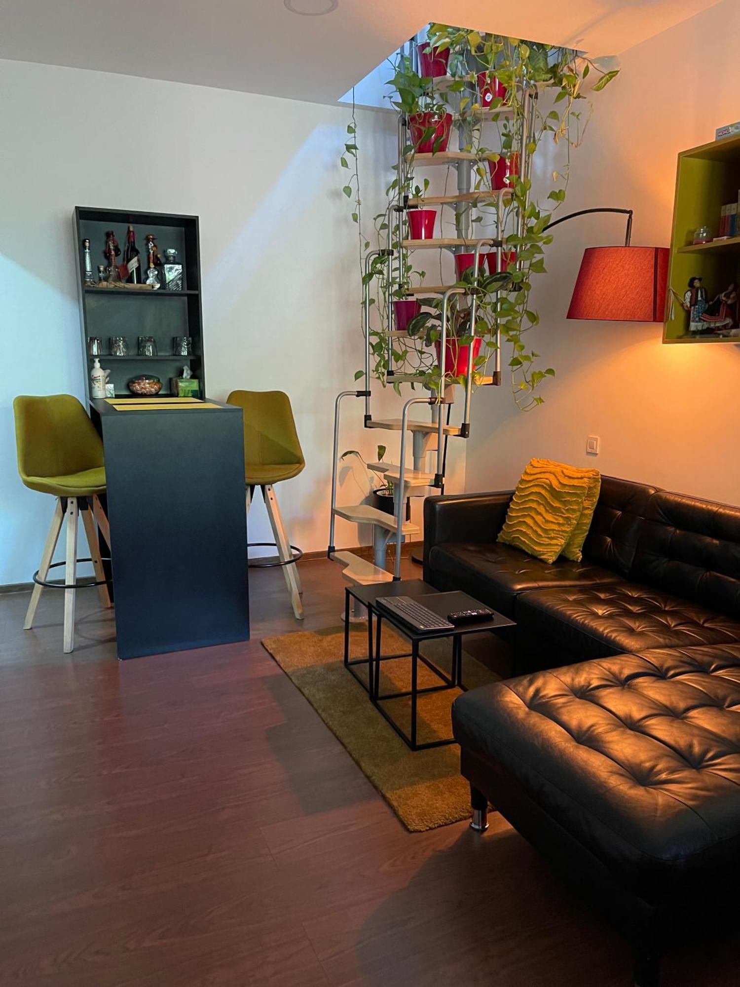 City Garden Apartments 부쿠레슈티 외부 사진